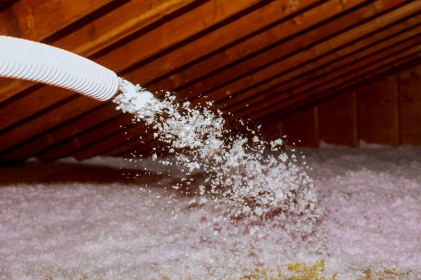 Best Spray Foam Insulation in Sherman, TX