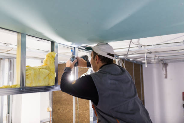 Types of Insulation We Offer in Sherman, TX