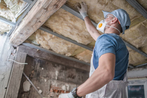 Best Insulation Maintenance and Repair in Sherman, TX
