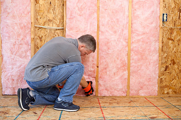 Best Residential Insulation in Sherman, TX