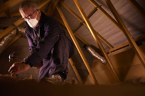 Best Cellulose Insulation in Sherman, TX